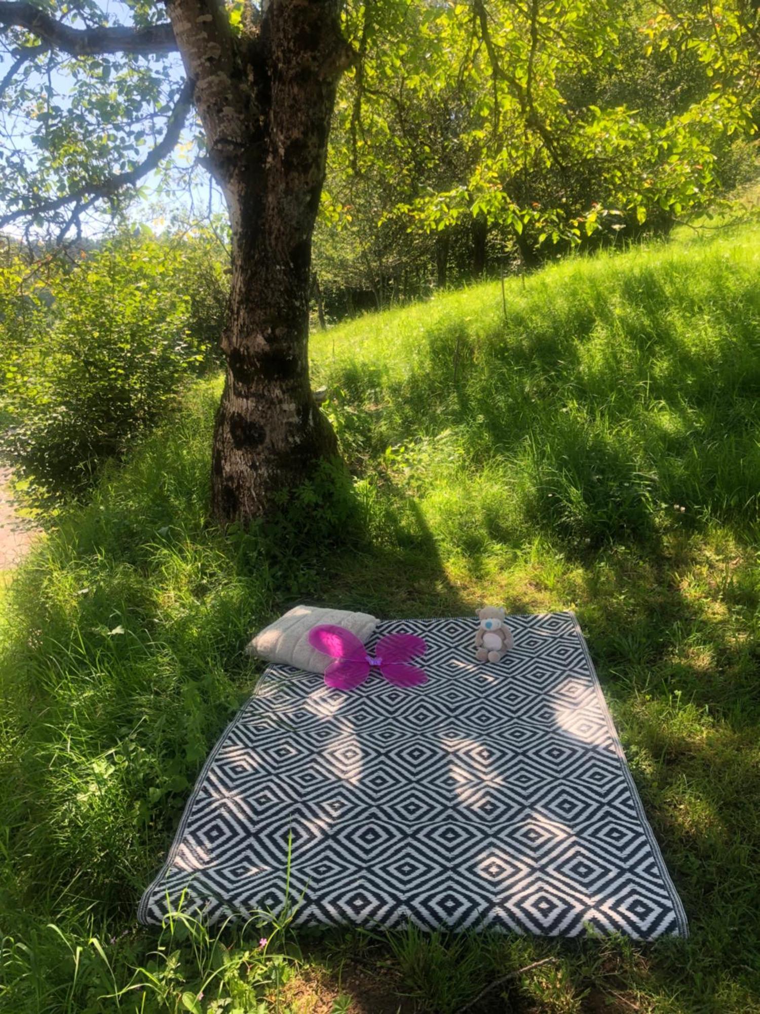 La Maisonnee Heureuse La Bresse Dış mekan fotoğraf